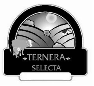 TERNERA SELECTA
