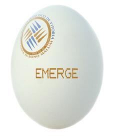 EMERGE UNIVERSIDAD FRANCISCO DE VITORIA VINCE IN BONO MALUM
