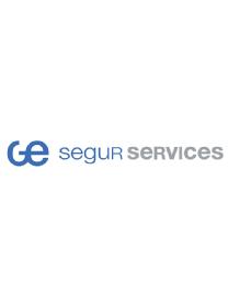 GE SEGUR SERVICES