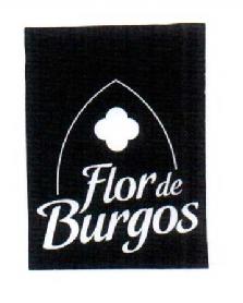 FLOR DE BURGOS