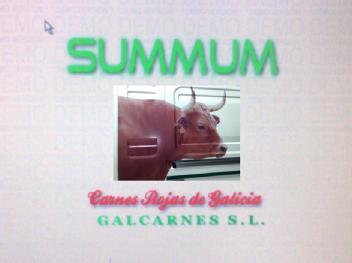 SUMMUM CARNES ROJAS DE GALICIA GALCARNES S.L