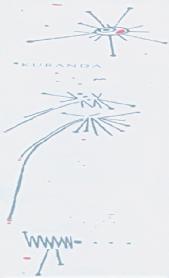 KURANDA
