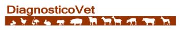 DIAGNOSTICOVET
