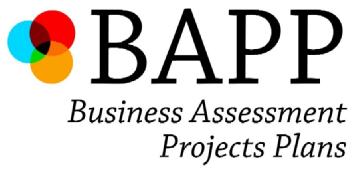 BAPP BUSINESS ASSESSMENT PROJECTS PLANS