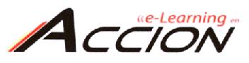 E-LEARNING EN ACCION