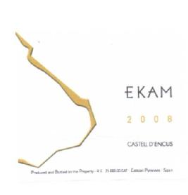 EKAM 2008 CASTELL D'ENCUS