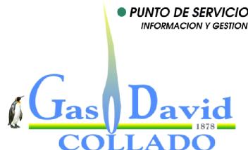 PUNTO DE SERVICIO INFORMACION Y GESTION GAS DAVID COLLADO 1878
