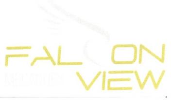 FALCON VIEW MECANOEX