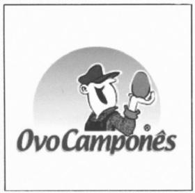 OVO CAMPONES, FIG