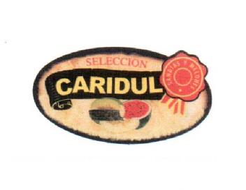 SELECCION CARIDUL SANDIAS Y MELONES