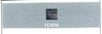 FEMM