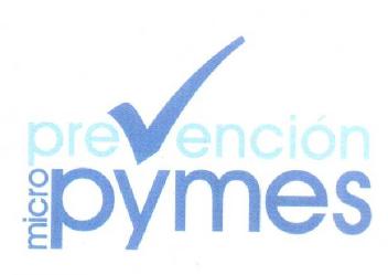 PREVENCION MICRO PYMES