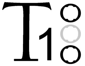 T1
