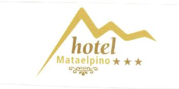 HOTEL MATAELPINO