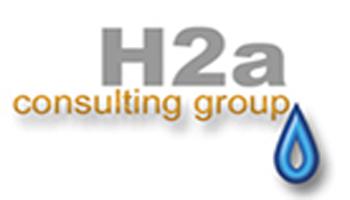 H2A CONSULTING GROUP