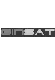 GINSAT