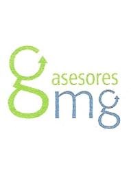GMG ASESORES
