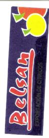 BELSAN