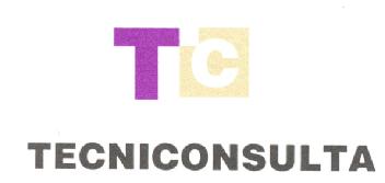 TC TECNICONSULTA