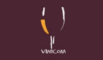 VINICOM
