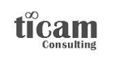 TICAM CONSULTING