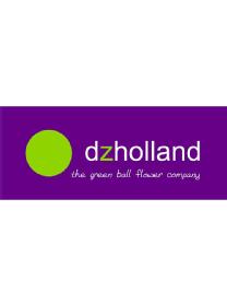 DZHOLLAND THE GREEN BALL FLOWER COMPANY