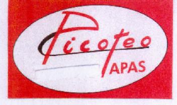 PICOTEO TAPAS