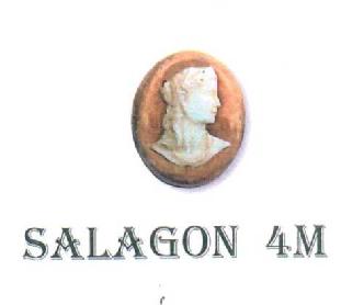 SALAGON 4M