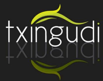 TXINGUDI