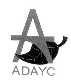 A ADAYC