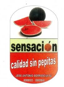 SENSACION CALIDAD SIN PEPITAS JOSE ANTONIO BORRASCAS S.L