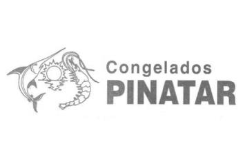 CONGELADOS PINATAR