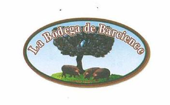 LA BODEGA DE BARCIENCE