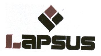 LAPSUS