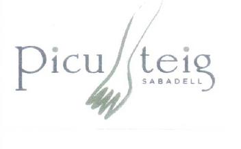 PICU TEIG SABADELL