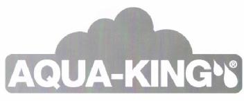 AQUA-KING