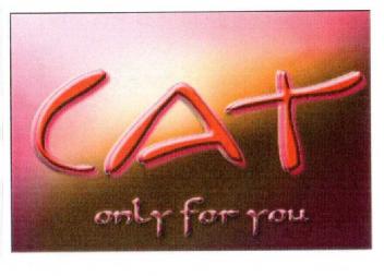 CAT ONLY FOR YOU