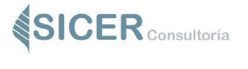 SICER CONSULTORIA