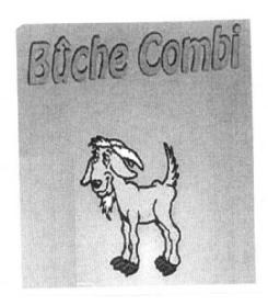 BUCHE COMBI