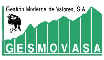 GESMOVASA - GESTION MODERNA DE VALORES, S.A