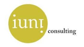 IUNI CONSULTING