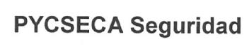 PYCSECA SEGURIDAD