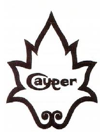 CAYPER