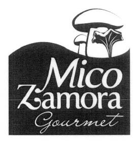 MICO ZAMORA GOURMENT
