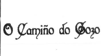 O CAMIÑO DO GOZO
