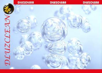 DLUZCLEAN