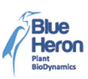 BLUE HERON PLANT BIODYNAMICS