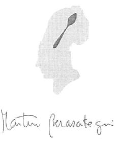 MARTIN BERASATEGUI
