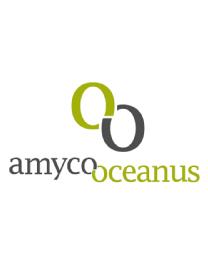 AMYCO OCEANUS