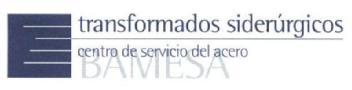 TRANSFORMADOS SIDERURGICOS CENTRO DE SERVICIO DEL ACERO BAMESA